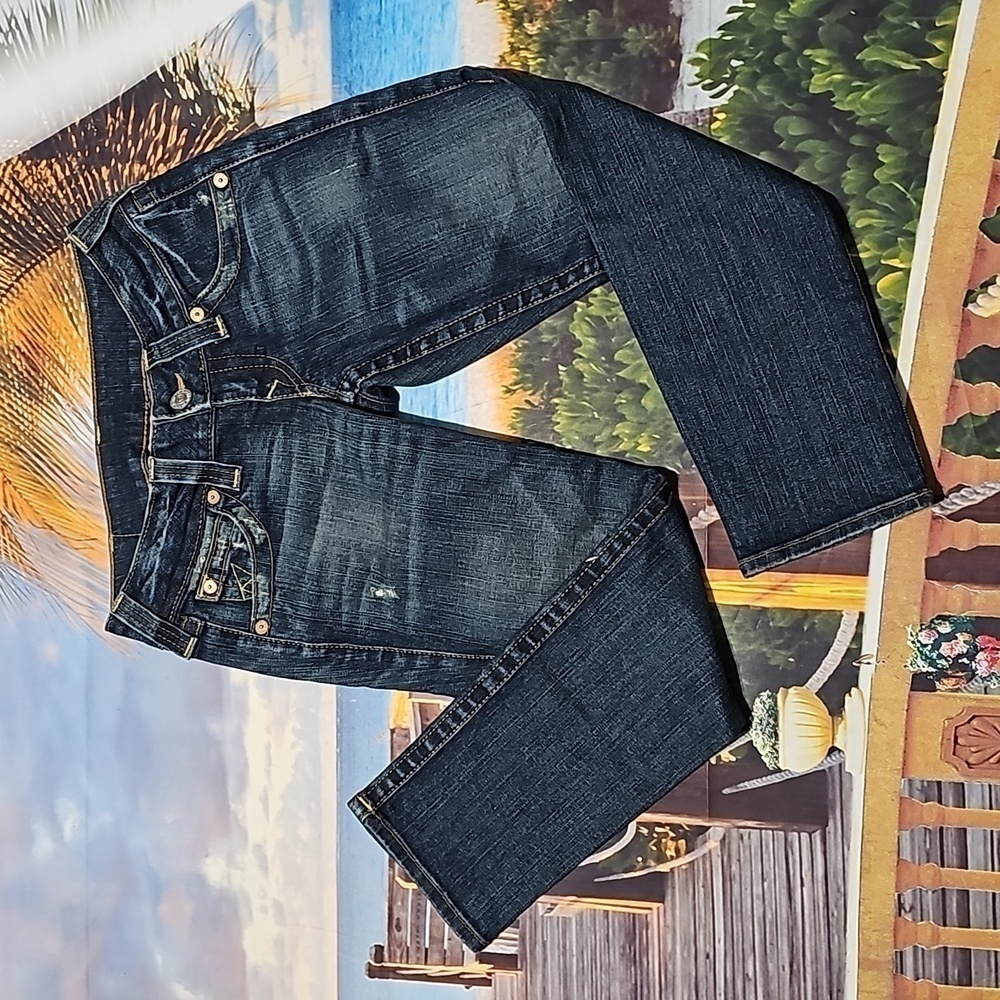 True Religion Cropped Jeans Size 24